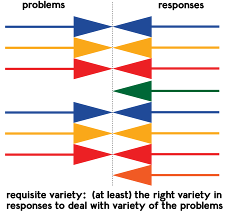 examples of requisite variety